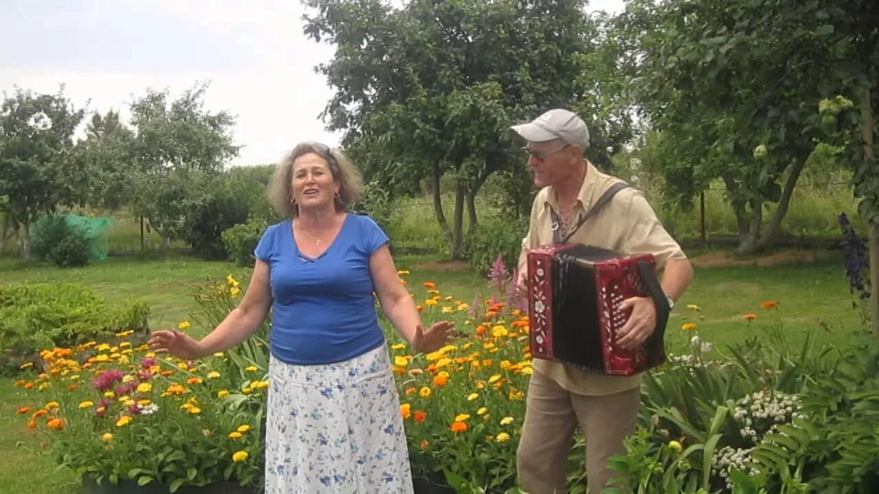 Я выйду за город крапив. Крапива-лебеда песня.