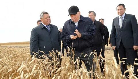 Управление сельского хозяйства республики казахстан