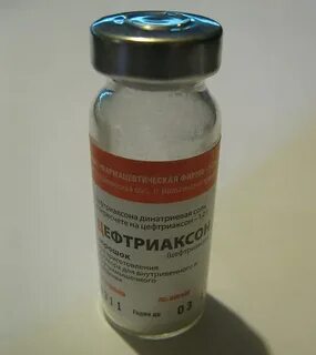 Можно кошке колоть цефтриаксон