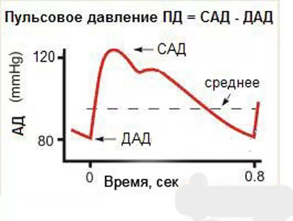 Пульсовое давление в норме мм рт. Среднее пульсовое ад. вариабельность пульсового давления. среднее и пульсовое артериальное давление. среднее пульсовое ад норма.