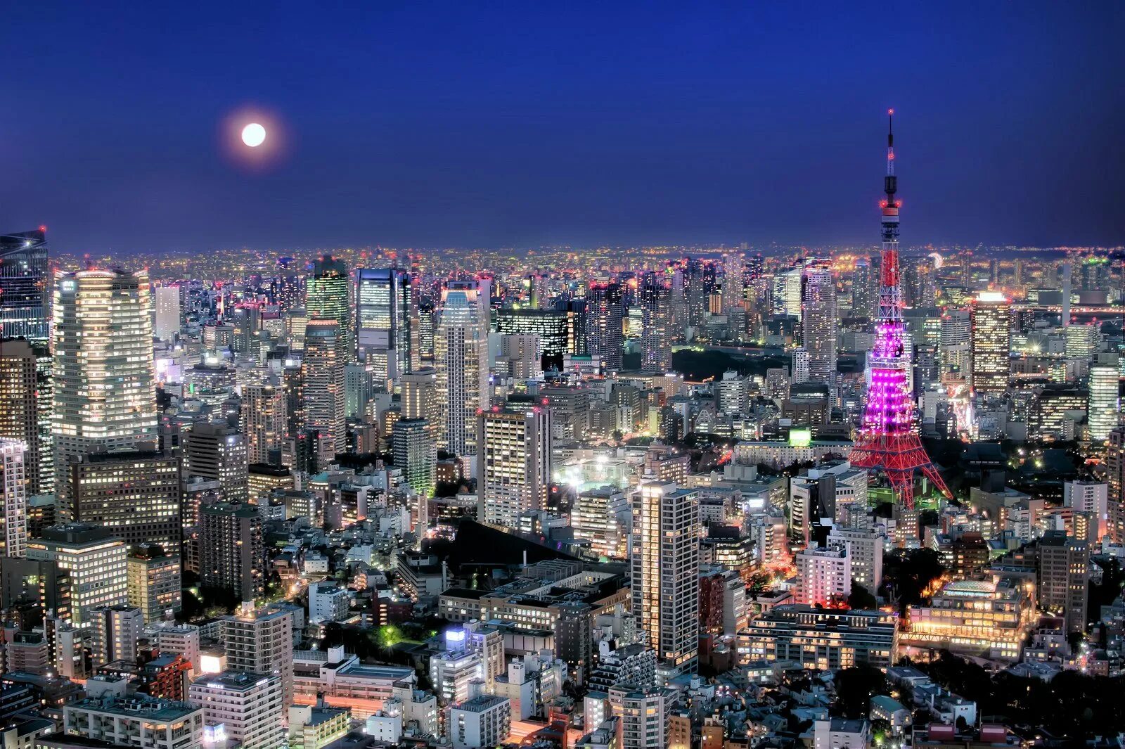 Япония крупнейший в мире. Япония Токио. Япония город Токио. Япония Токио панорама. Скайлайн Токио.