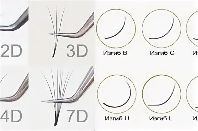 Изгиб м схема наращивания 2д. Толщина ресниц для наращивания 2д м изгиб. Схема длина толщина изгиб ресниц. Изгибы ресниц для наращивания 2д. Изгиб u