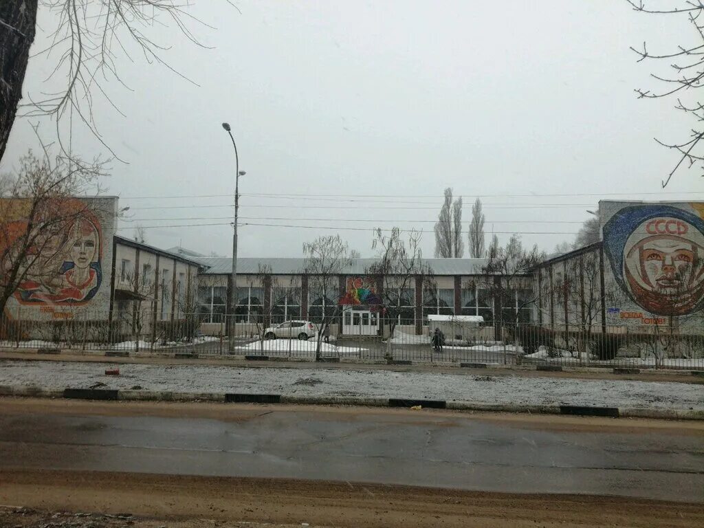 ростовская, 22а воронеж. центр радуга воронеж. мозаика в доме пионеров воронеж. центр радуга воронеж. центр радуга воронеж.