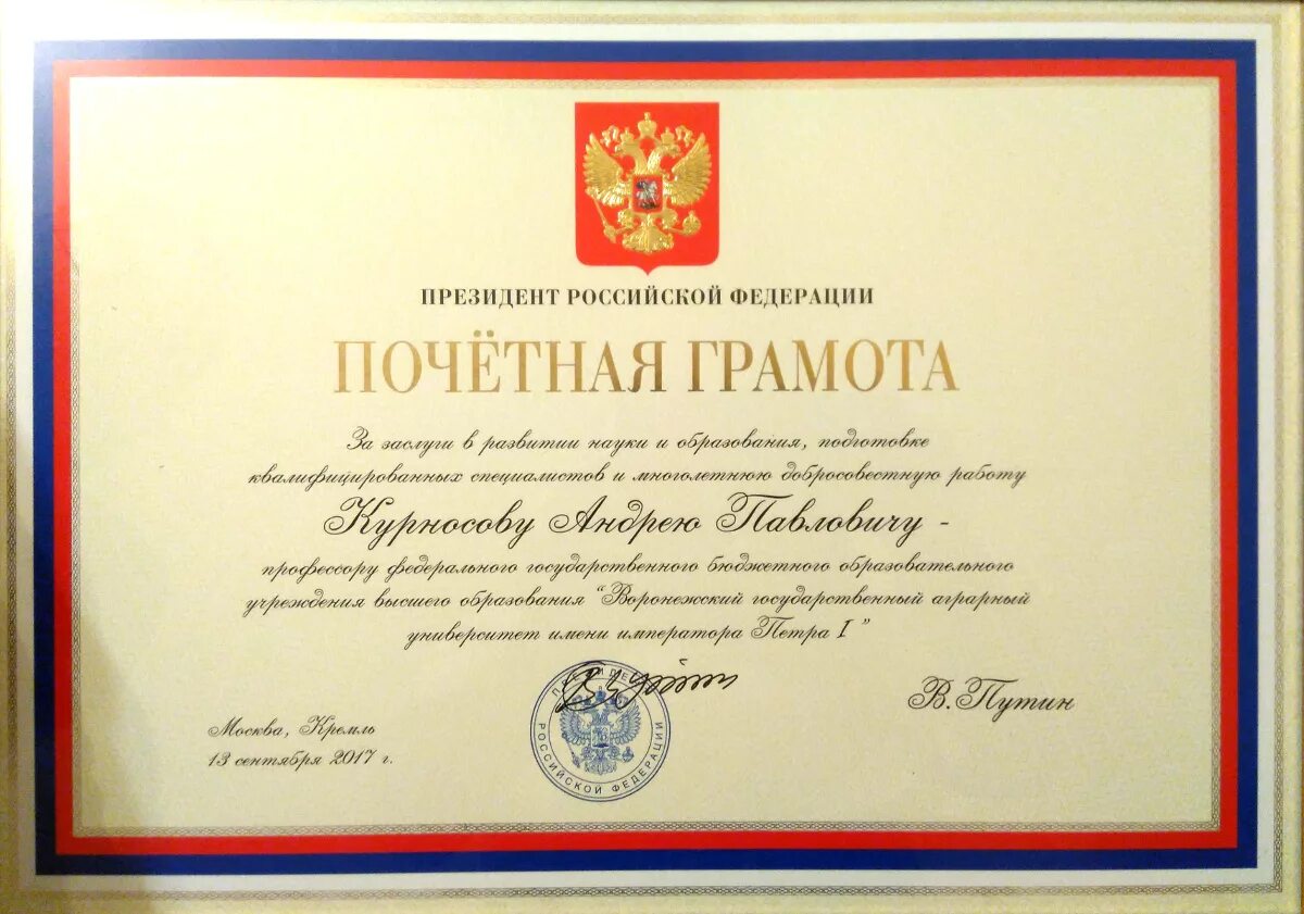 Почетная грамота минздрава. Почетная грамота мз. Грамота мо. Почетная грамота мз рф. Почетная грамота мз.