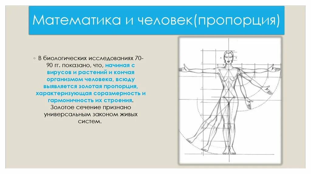 Метод пропорции в математике. Пропорции человека. Математические пропорции человека. Фигура человека пропорции тела человека. Красота пропорций человека.