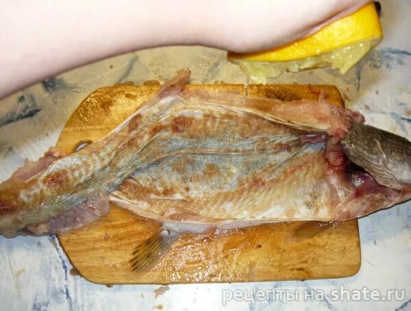 Засолка шкур. Как засолить шкуру. Засолка шкур. Коровья кожа. Засолка шкур.