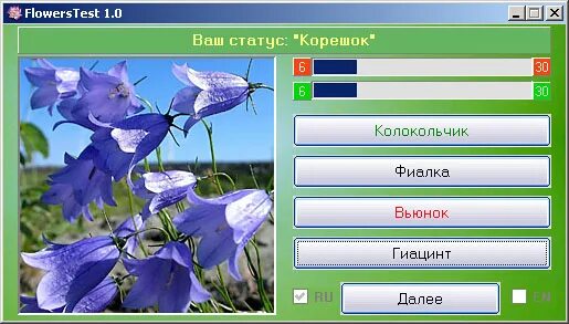 Тест ваше состояние. Программа уналать цветок. Тест цветы. Отгадай цветок. Угадай цветок колокольчик.