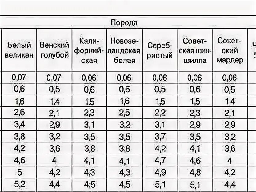Сколько весит рб. Сколько весит рб