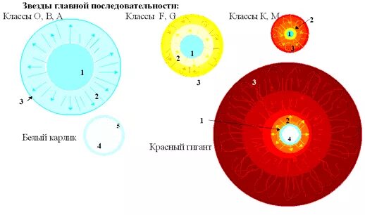 Внутреннее строение гигантов. Внутреннее строение звезд различных классов. строение красного гиганта. внутреннее строение звезд схема. модель звезды главной последовательности.