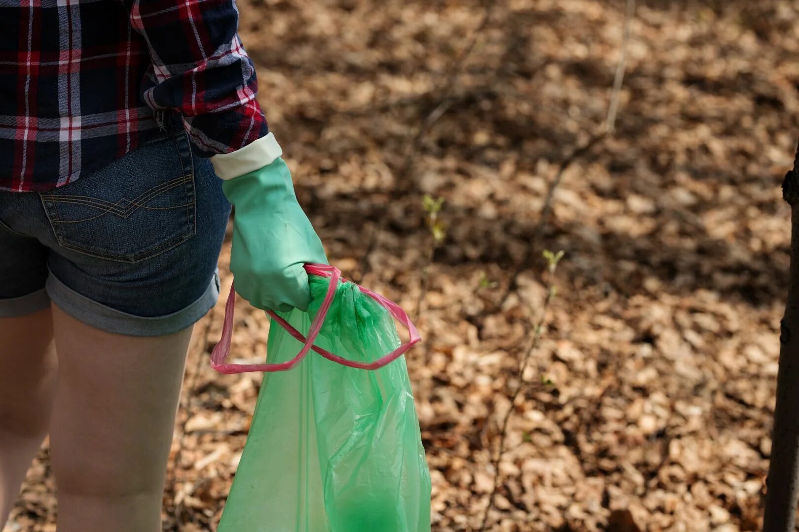 Don t pick up the trash. Dirty Forest.