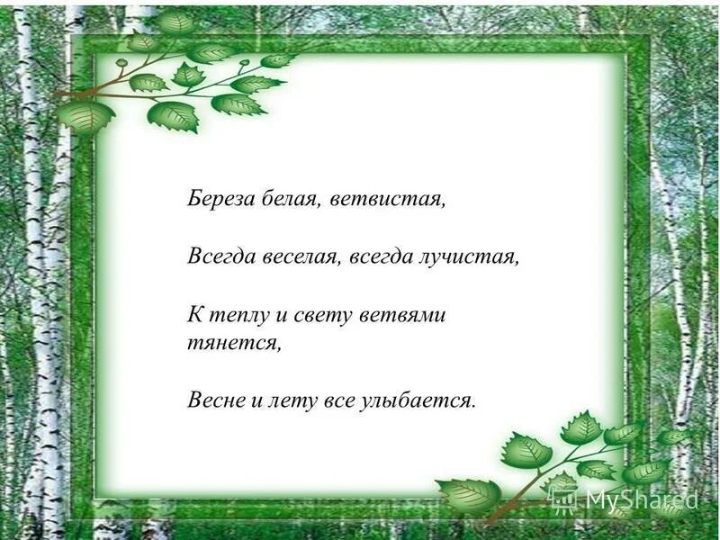 Выражение березы. Прокофьев люблю березку русскую. Предложение про березу. Выражение березы. Берёзка стихотворение.