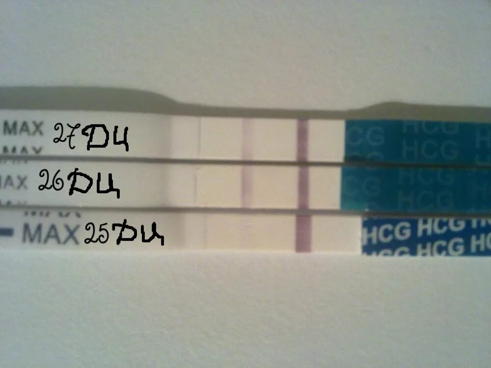 Эвитест 26 ДЦ. 27 День цикла покажет ли тест беременность. Слабоположительный тест на беременность на 25 день цикла. 26 День цикла тест на беременность слабоположительный. 26 день цикла можно забеременеть