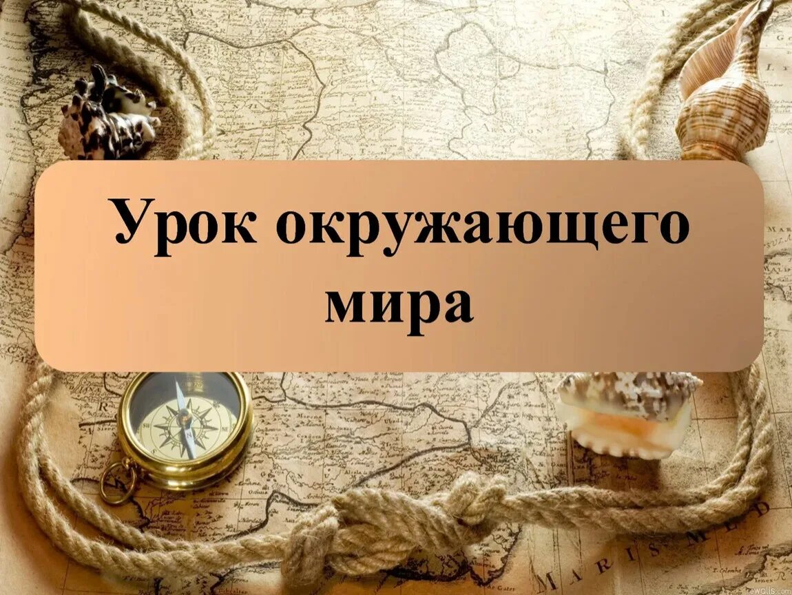 Урок на тему мир истории. Урок окружающего мира. урок окружающегоммира. урок окружающий мир. слайд урок окружающего мира.
