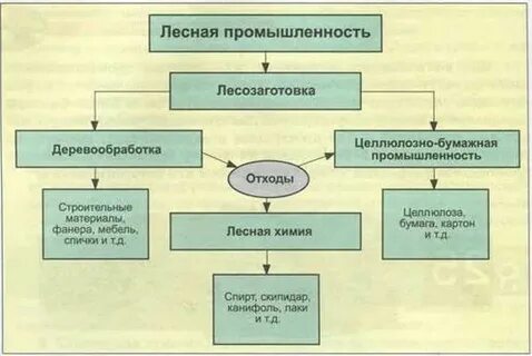 Основные производства химической и лесной промышленности
