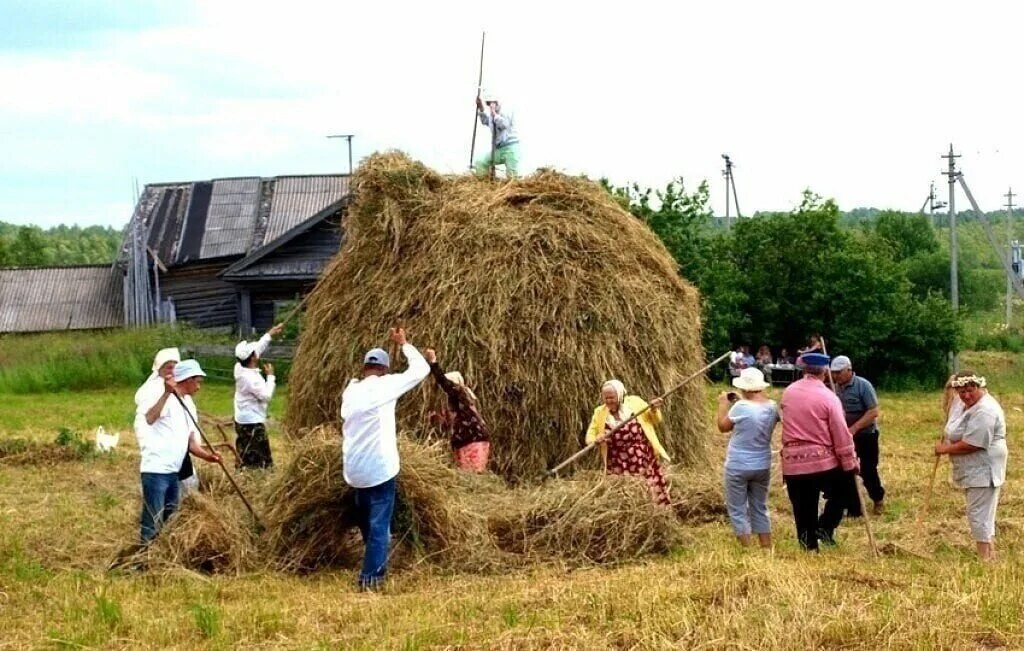 Village работа. Деревня 1990 сенокос. Сенокос в деревне. Заготовка сена в деревне. Уборка сена в деревне.