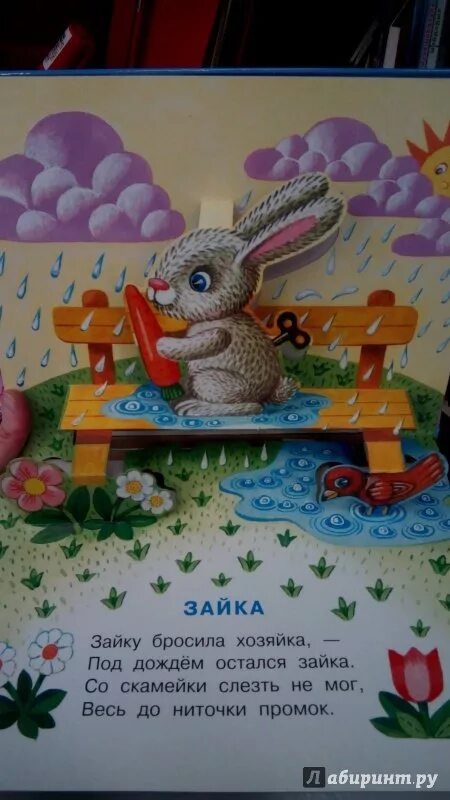 Зайку бросила хозяйка. Зайку бросила хозяйка под дождем остался зайка. Зайку бросила хозяйка песня шансон. Зайку бросила хозяйка песня шансон. Стих зайку бросила хозяйка под дождем остался зайка.