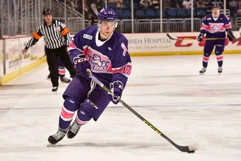 Solar bears