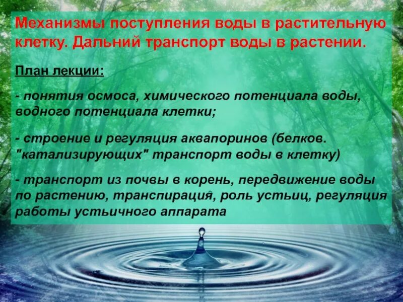 Механизм поступления воды в растительную клетку. Механизмы поступления воды в растение. Поступление воды в клетку растения. Осмотический механизм поступления воды в клетку. Скорость поступления воды