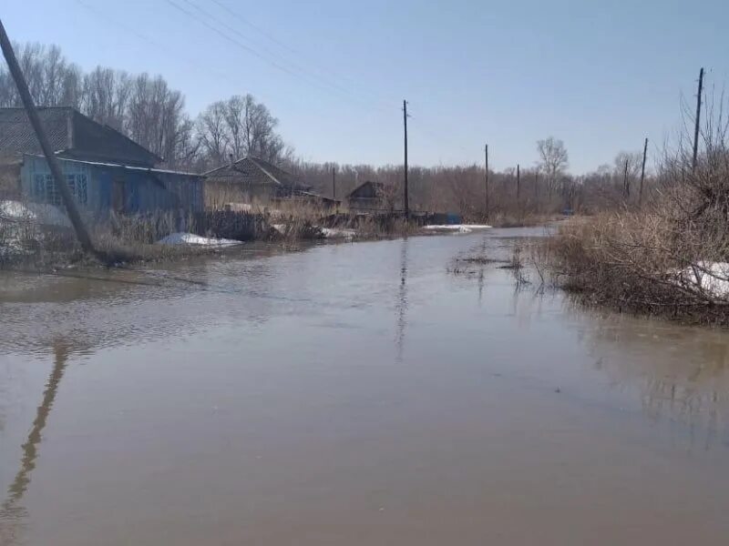 Уровень воды в чарыше на сегодня. Разлив реки Крапивна. Разлив реки Новоаннинский. Разлив реки Новотроицк. Абатск разлив реки.