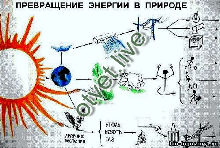 Какое преобразование энергии осуществляется в солнечных. Превращение энергии в природе. Схема трансформации электроэнергии. Цепочка превращения энергии в природе.