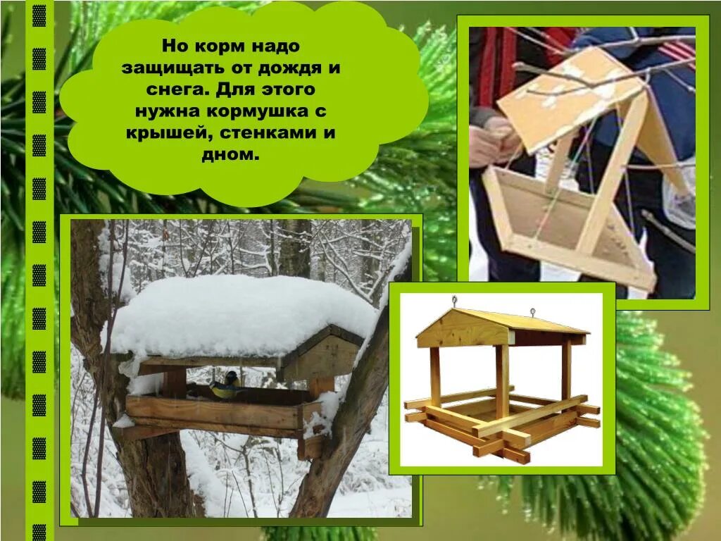 кормушка для птиц окружающий мир. кормушка для птиц 1 класс окружающий мир. кормушка для птиц окружающий мир. проект кормушка для птиц. кормушка для птиц окружающий мир.