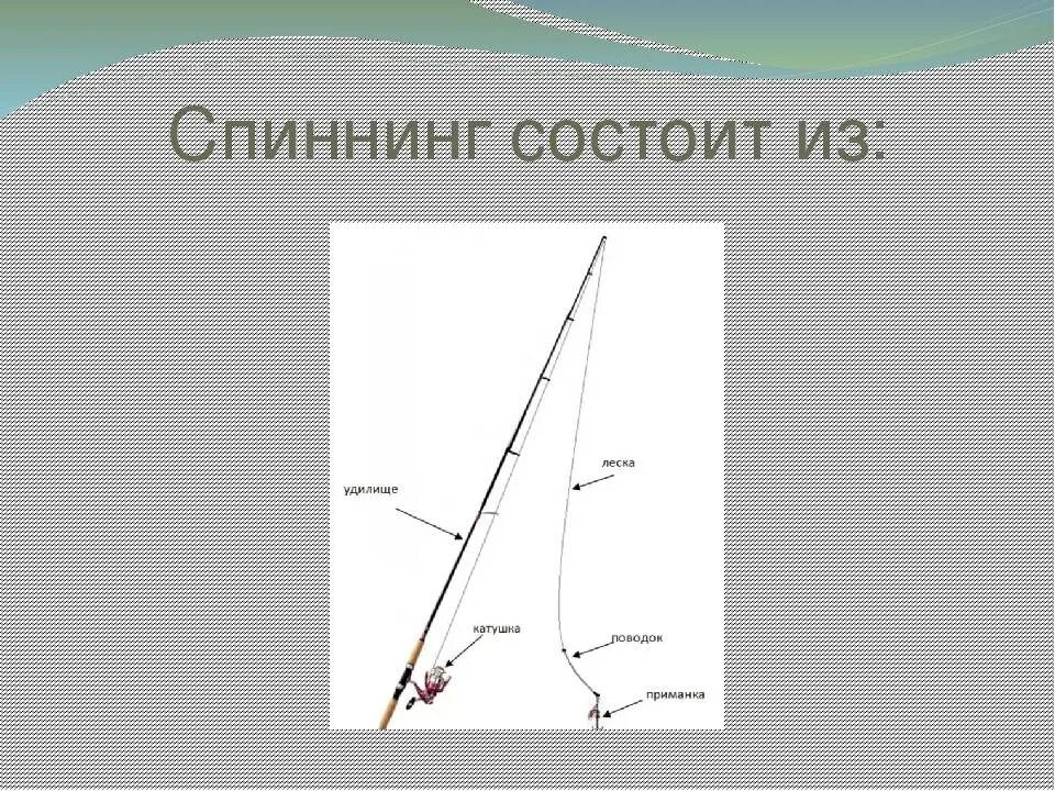 Из чего состоит удочка. Составные части спиннинга. спиннинг состоит. название составных частей спиннинга. составная удочка.