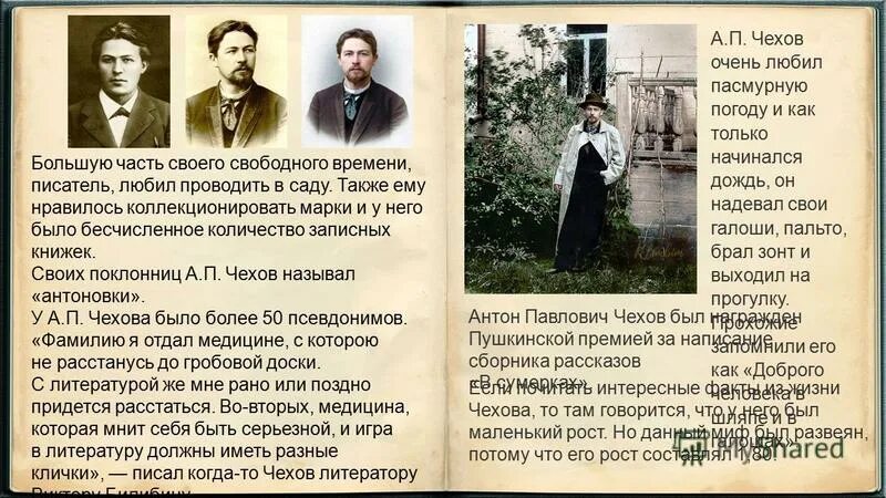 детская чехов