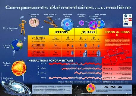 Elementary particles