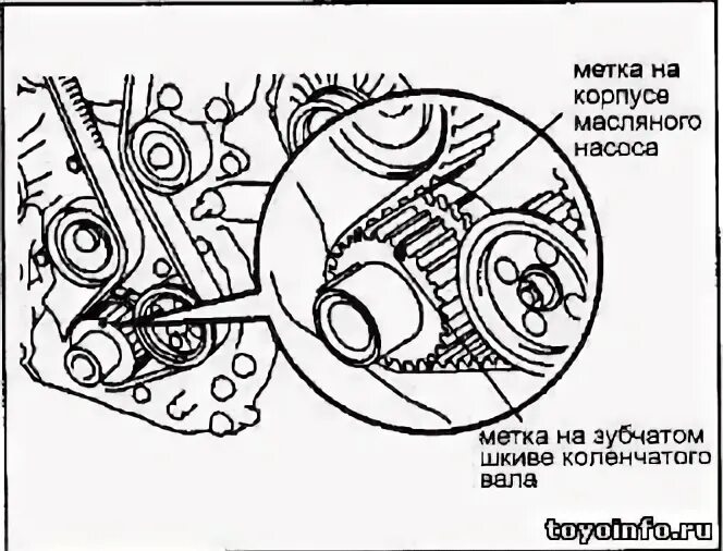 Метки грм виста. Метки грм виста