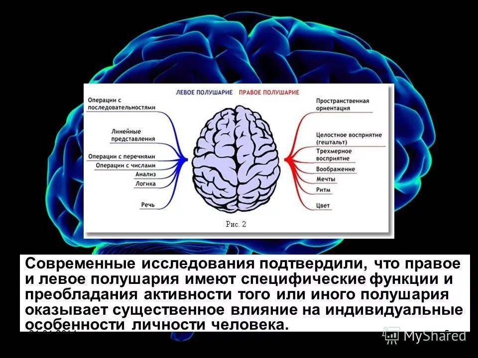 Какое полушарие головного мозга. Функциональная межполушарная асимметрия головного мозга это. Функции правого и левого полушария. Функциональная асимметрия правого и левого полушария мозга. Роль левого полушария.