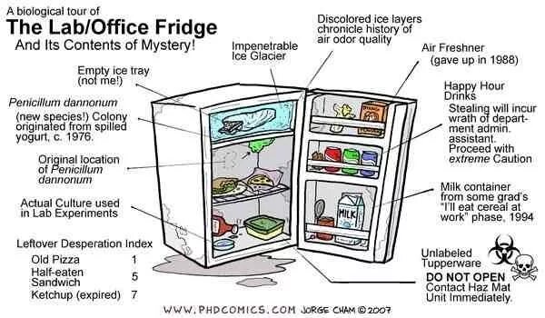 Office fridge rules. What is there in the fridge picture. Einkaufen упражнение на эту тему. Freezer compartment. Fridge перевод в холодильнике.
