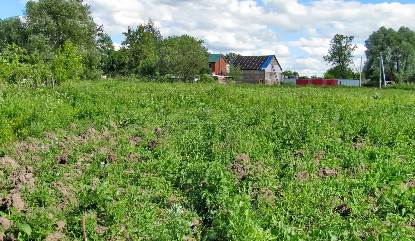 Пахомово (посёлок, Заокский район). Пахомово Тульская область Заокский. Деревня Пахомово Тульская область Заокский район. Д Пахомово Шаховской район.