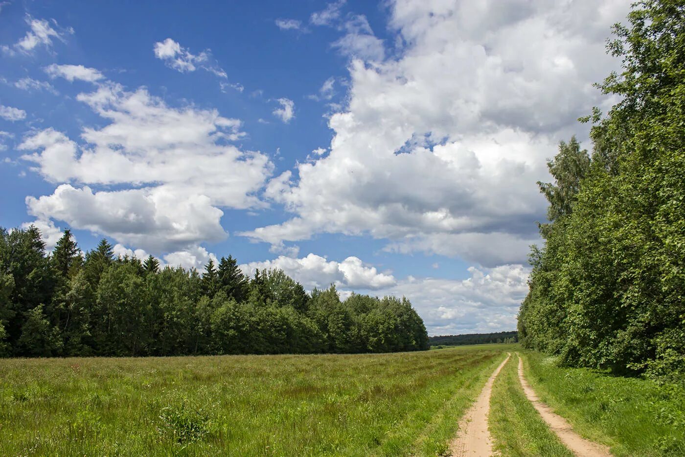 Вдали лесной. Лес вдали. Лес и небо. Луг и лес вдали. Небо и леса вдали.