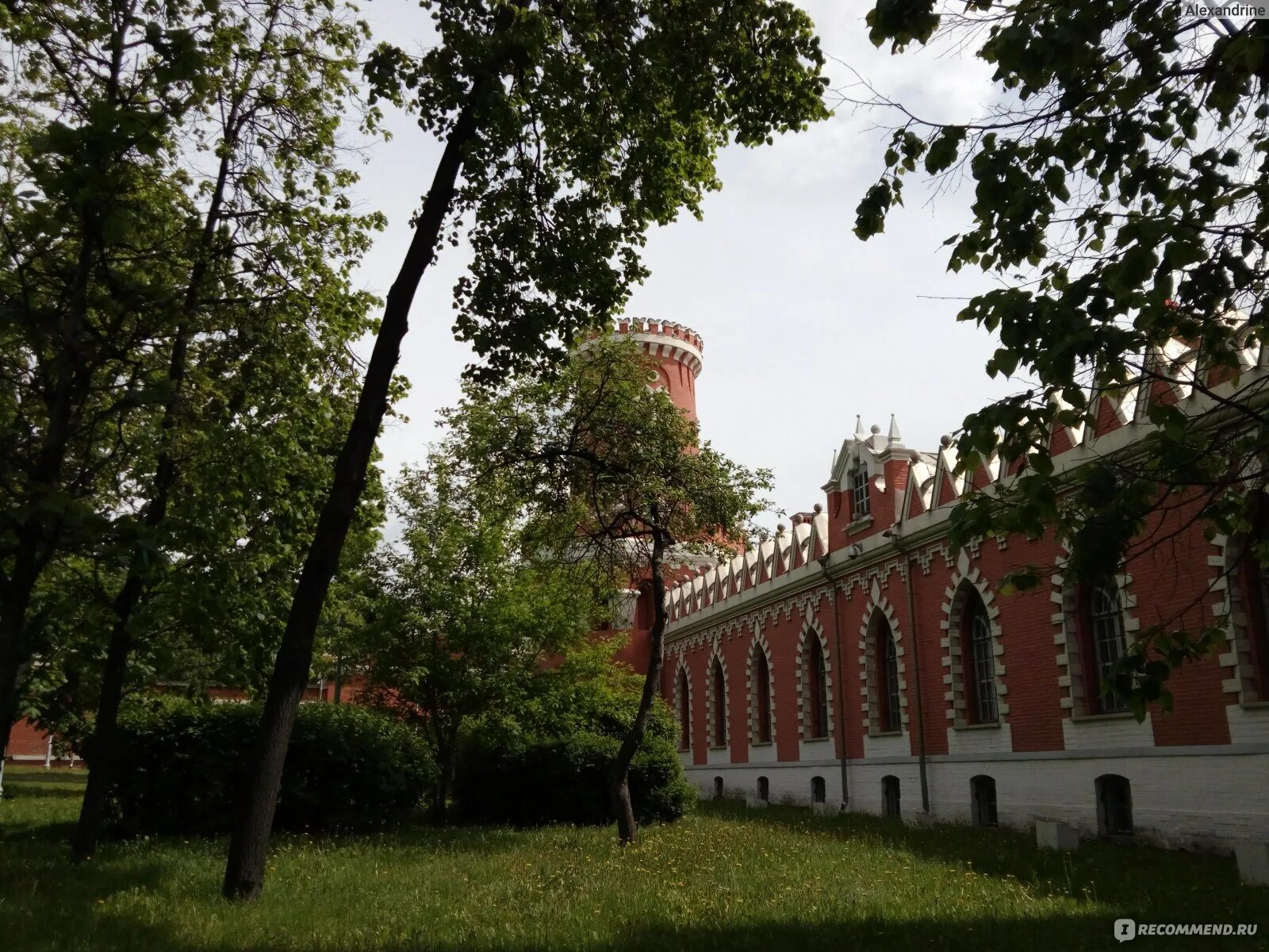 Петровский парк. Петровский парк МСК. Петровский сквер Москва. Петровский парк прогулка. Петровский парк сайт парка