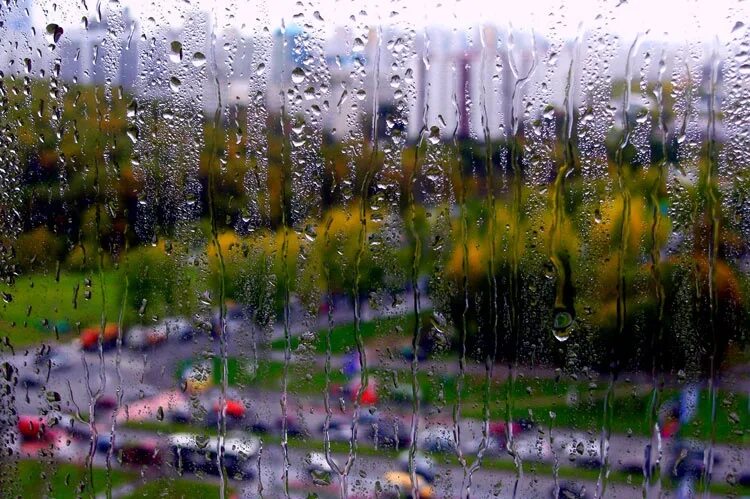 Доброе дождливое утро весны. Дождливое лето. Весенний дождик. Дождь за окном.