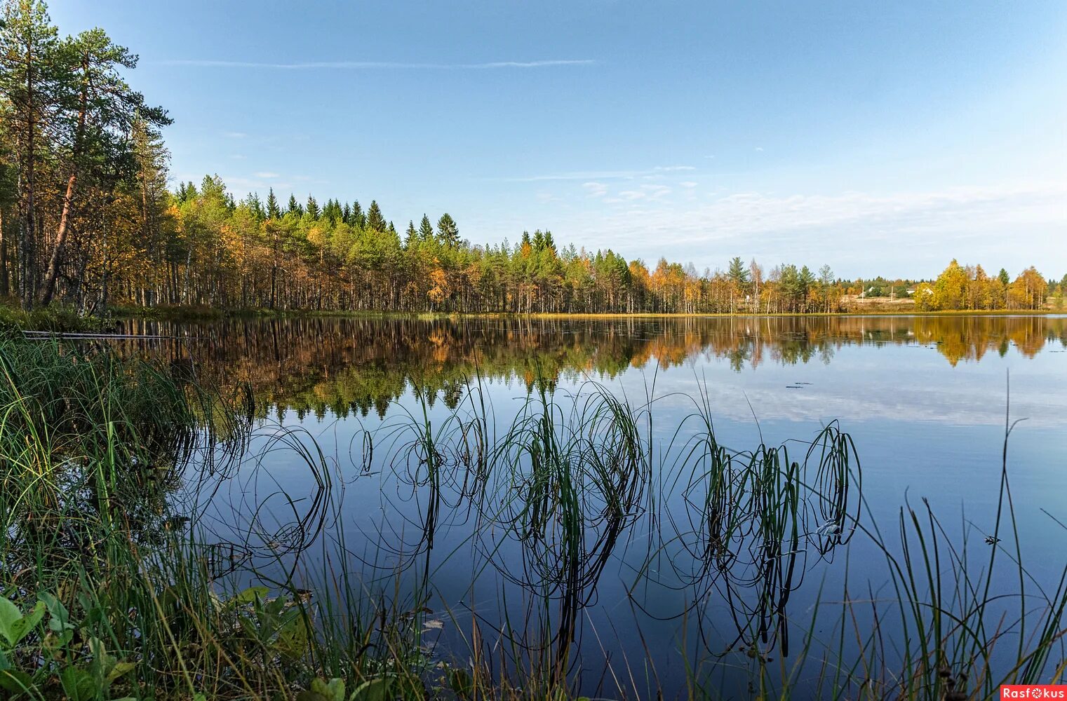 черное озеро пермь. озеро черный став. озеро черный став. пруд фреш сша. чёрное озеро (лежневский район).