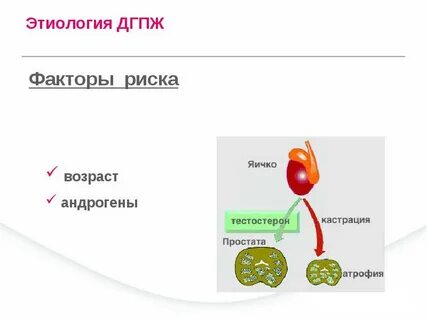 Причины рака простаты