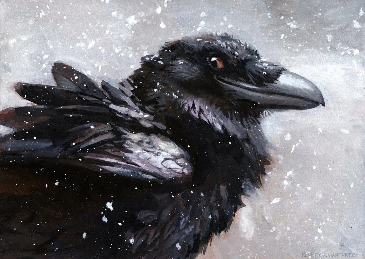Смех ворон. Хитрый ворон. довольная ворона. довольный ворон. ворон улыбается.