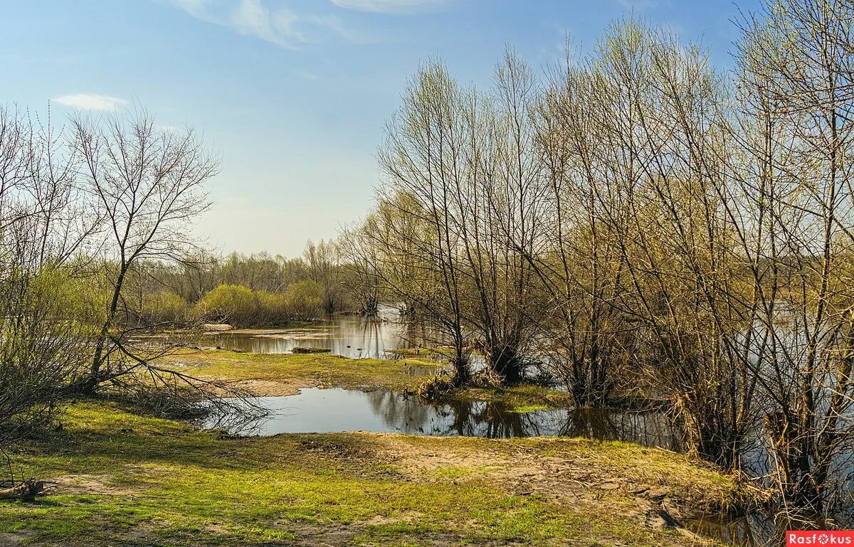 конец месяца апреля