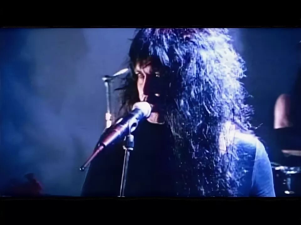 Wasp idol. W.a.s.p. - the idol. wasp the idol. wasp hold on to my heart. hold on to my heart w.a.s.p..