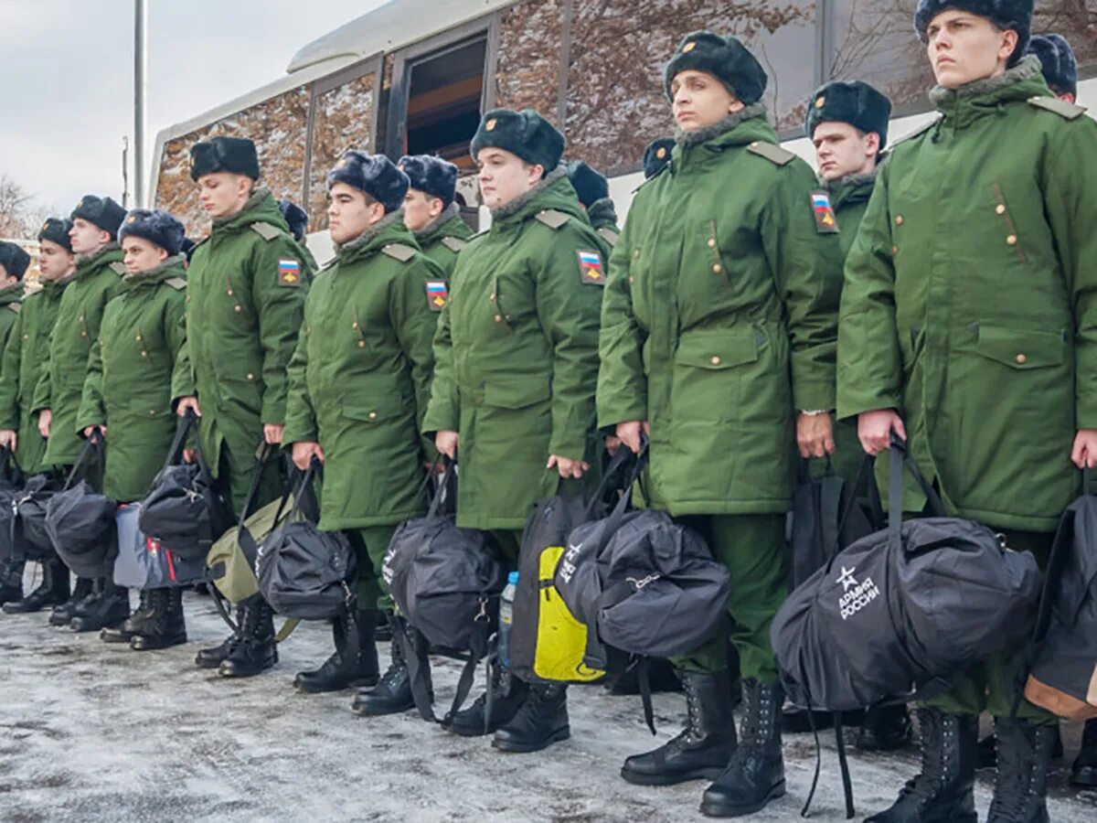 Т мобилизации. Т мобилизации