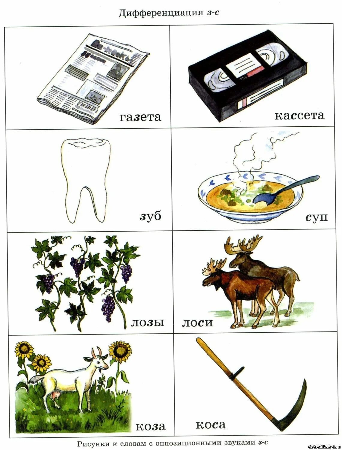 Звуки сходные по звучанию. Слова и звуки. Звуки схожие по звучанию. Паронимы для дошкольников. Различение слов паронимов для дошкольников.