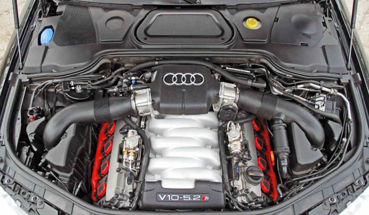 Мотор Ауди s8 v10. Audi s6 5.2 v10. Ауди s8 двигатель v10. Ауди s8 v12. D 12 2 8d 3 2d