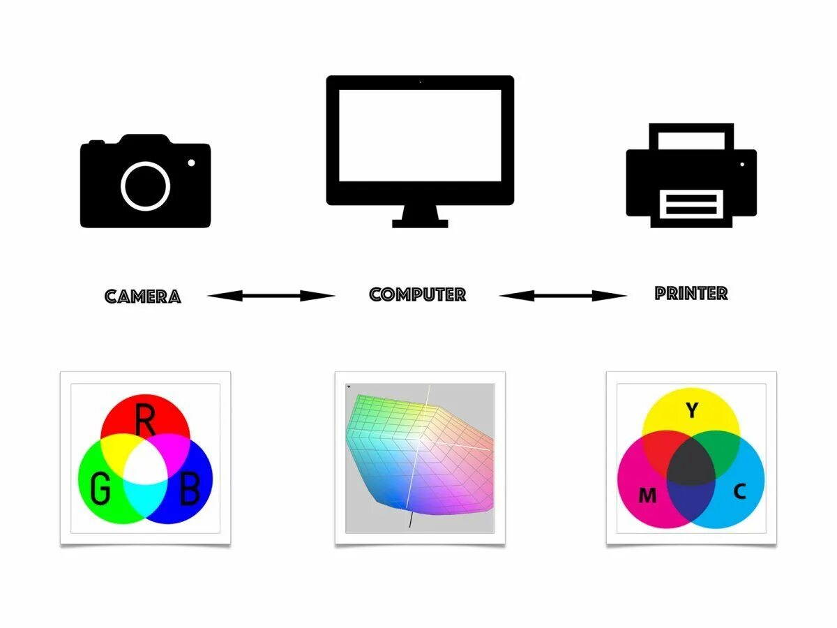 Cms 8-sinf. Color management. Цвет cms. Content management system. Cms сайта.