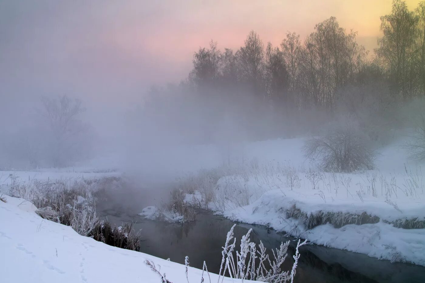 зимний пейзаж с туманом. ледяной туман. снежный туман. утро мороз. морозная дымка.