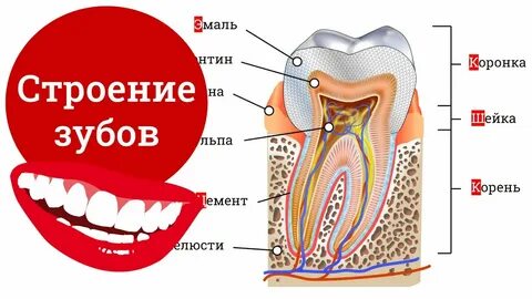 Строение года