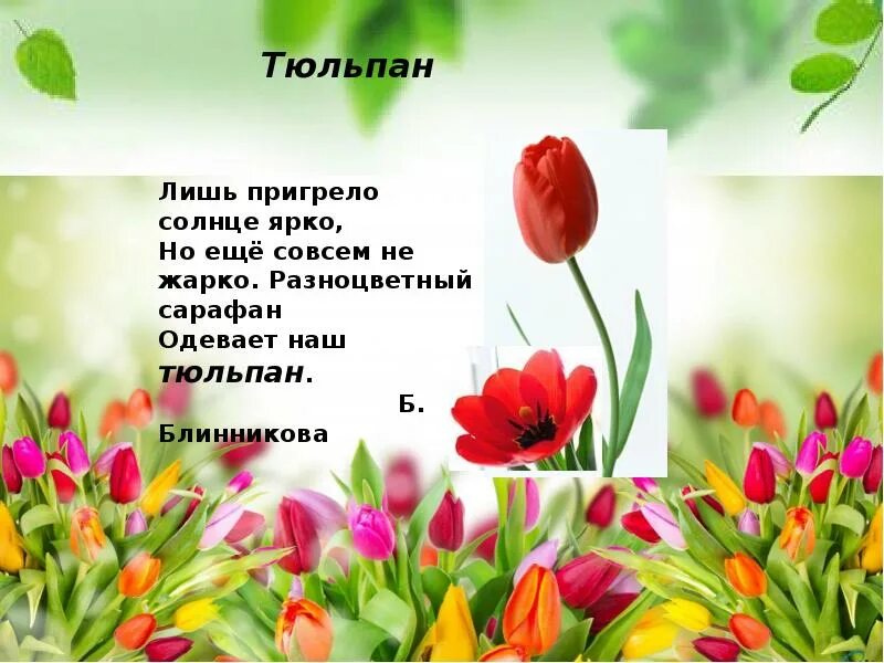 Весенние цветы цитаты