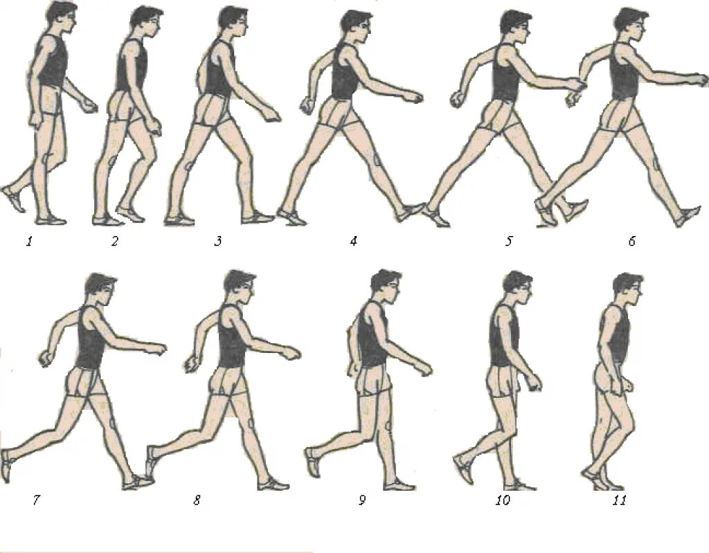 Техники ходьбы и бега. Техника спортивной ходьбы и бега в легкой атлетике. Техника спортивной ходьбы в легкой атлетике. Техника спортивноймходьбы. Легкоатлетические упражнения ходьба.