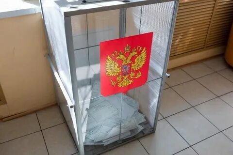 Полдень выборы
