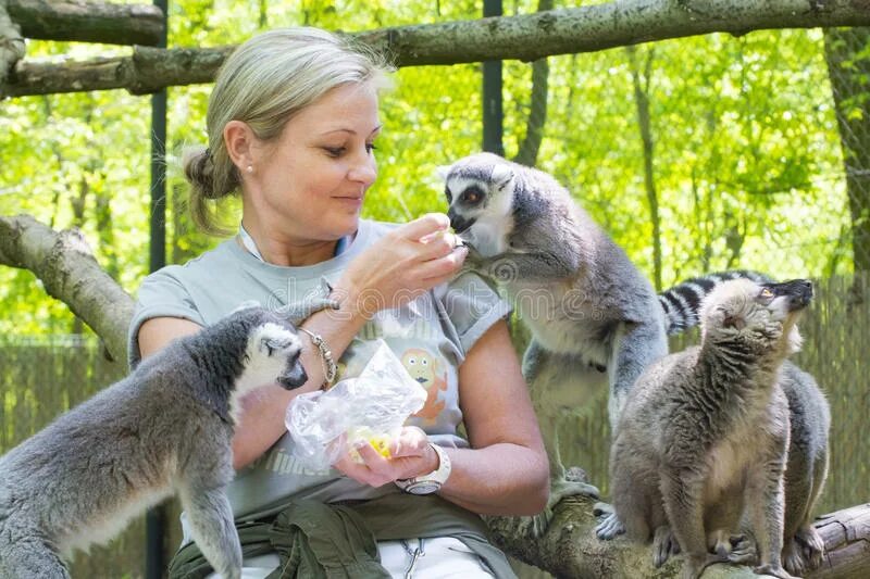 Зоологи в зоопарке. Должность сотрудника зоопарка который заботится о животных. Работник зоопарка. Уборщик в зоопарке. Должность сотрудника зоопарка который заботится о животных.